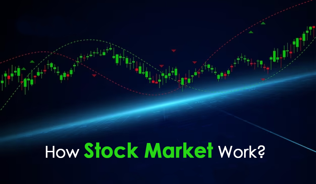 What Exactly Is The Stock Market? 10 Facts Why Basic Knowledge For The