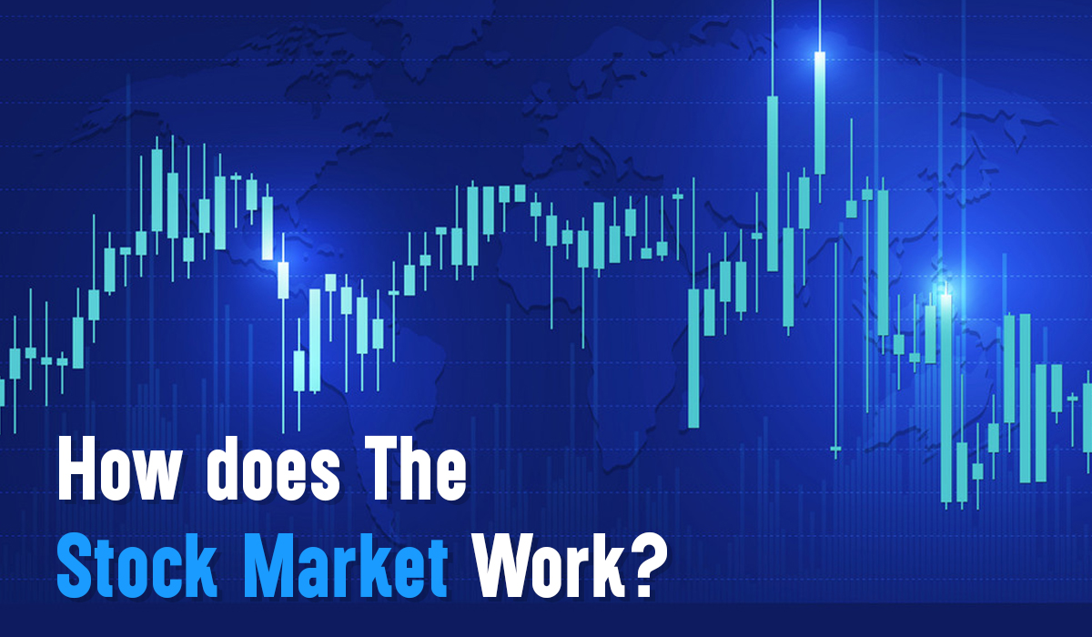 Things to Do During a Stock Market Down GTF