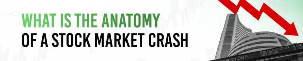 What is the Anatomy of a Stock Market Crash