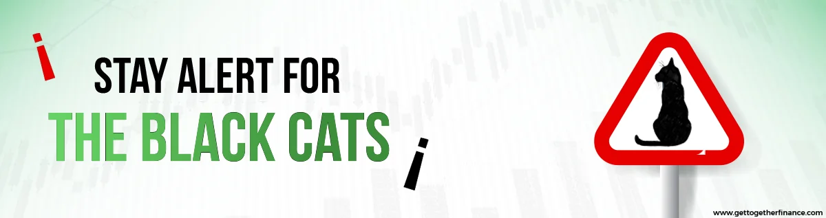 the black cats
