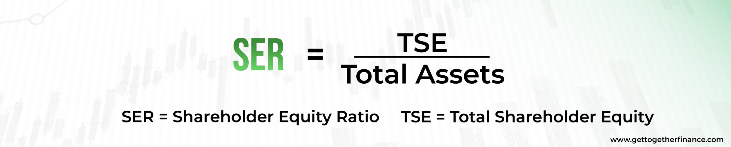 Shareholder equity ratio