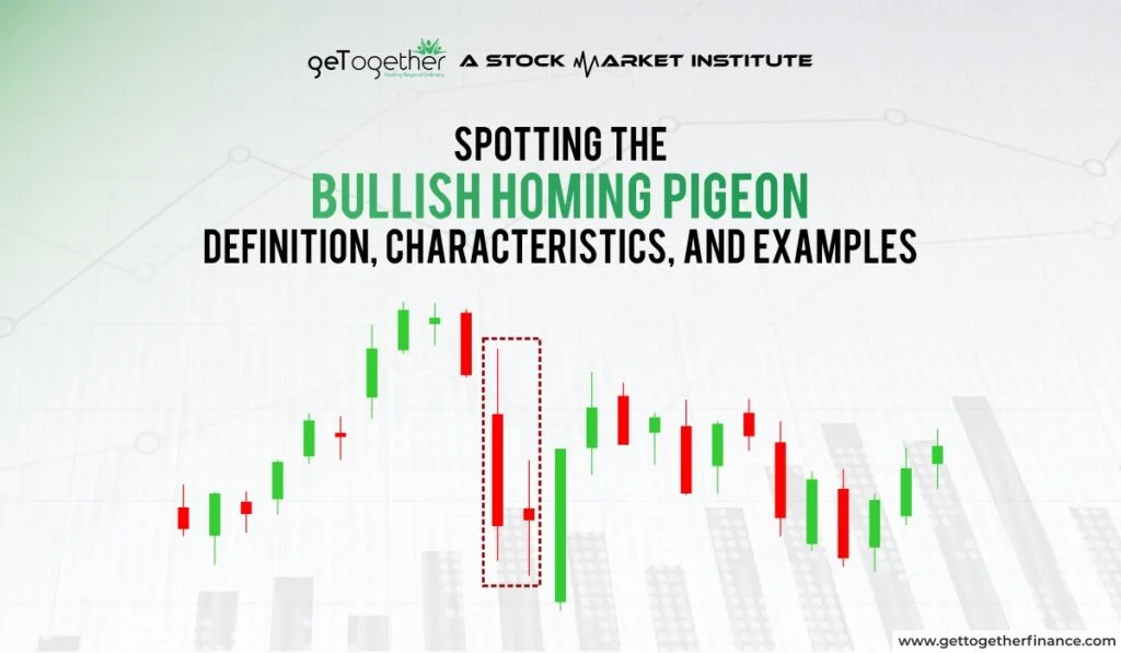 Bullish Homing Pigeon